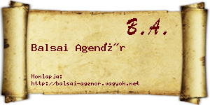Balsai Agenór névjegykártya